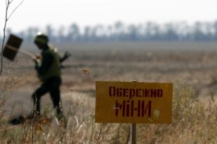 Порошенко подписал закон о разминировании Донбасса