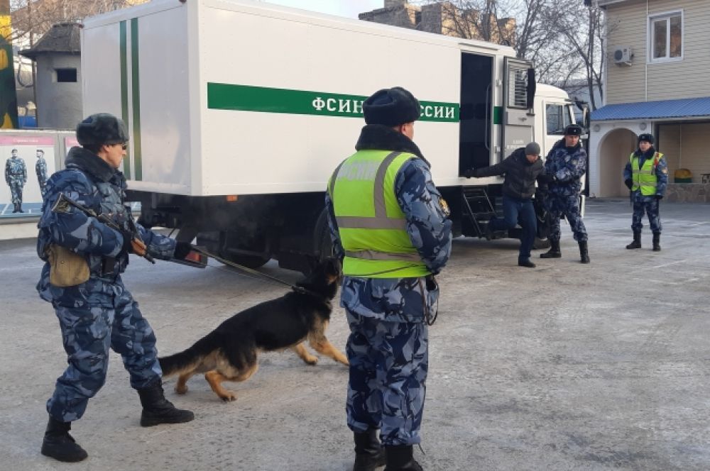 Служебная собака натаскана, чтобы предотвращать опасные моменты.