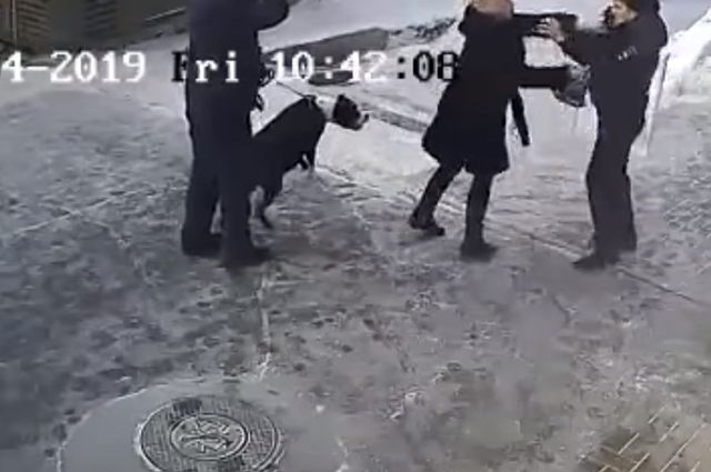 На видео попало начало конфликта: собака и женщина набрасывались на участкового.