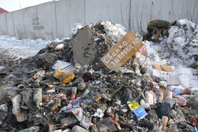 Тюменцев просят сообщать о тех, кто разбрасывает мусор