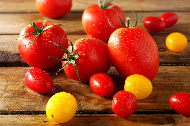 Сорта томатов. Как сделать оптимальный выбор?