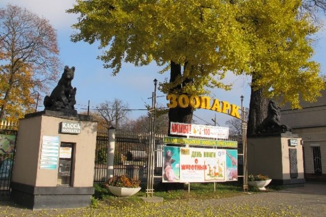 Калининградцы смогут подарить книги зоопарку