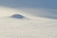 В Салехарде продолжаются внеплановые проверки качества уборки снега