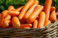 Тюменские аграрии внедрят новые методы переработки моркови
