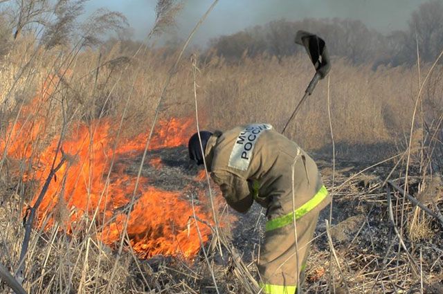 90 палов травы ликвидировали пожарные в Хабаровском крае с начала года.