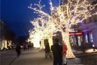 Красноярцы и гости столицы края с удовольствием фотографируются на фоне деревьев с подсветкой