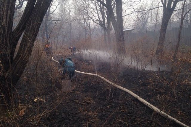 Сергей Фургал потребовал ликвидировать лесные  пожары в Хабаровском крае.