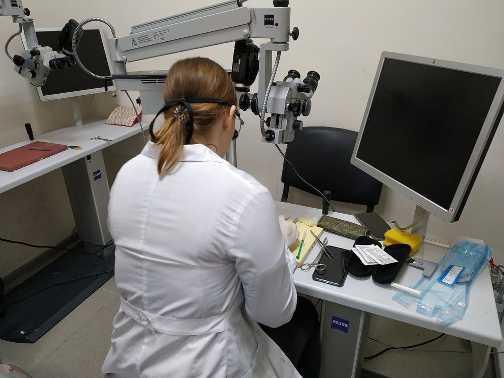 Часть всех этих роботов была закуплена недавно