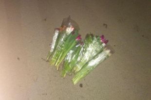 «Ночная романтика»: в Одессе подросток украл целую охапку тюльпанов