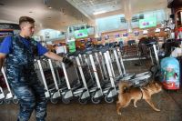 Сотрудник кинологической службы авиакомпании «Аэрофлот» во время работы со служебной собакой в терминале международного аэропорта «Шереметьево».