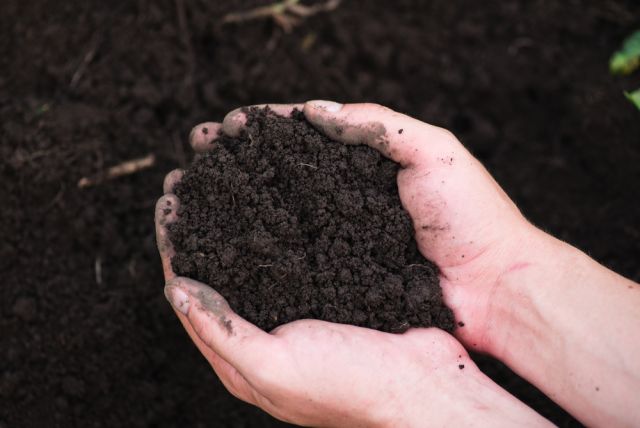 Загрязнение почв удобрениями. Почва. Пестициды в почве. Разложение почвы. Удобрение почвы.
