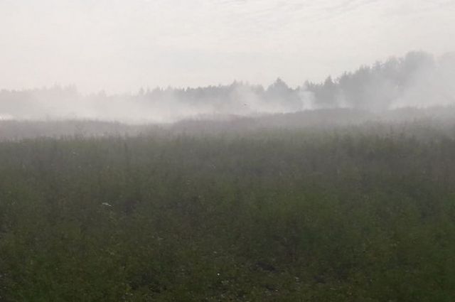 Жителям Хабаровска рекомендуют не выходить на улицу из-за дыма.