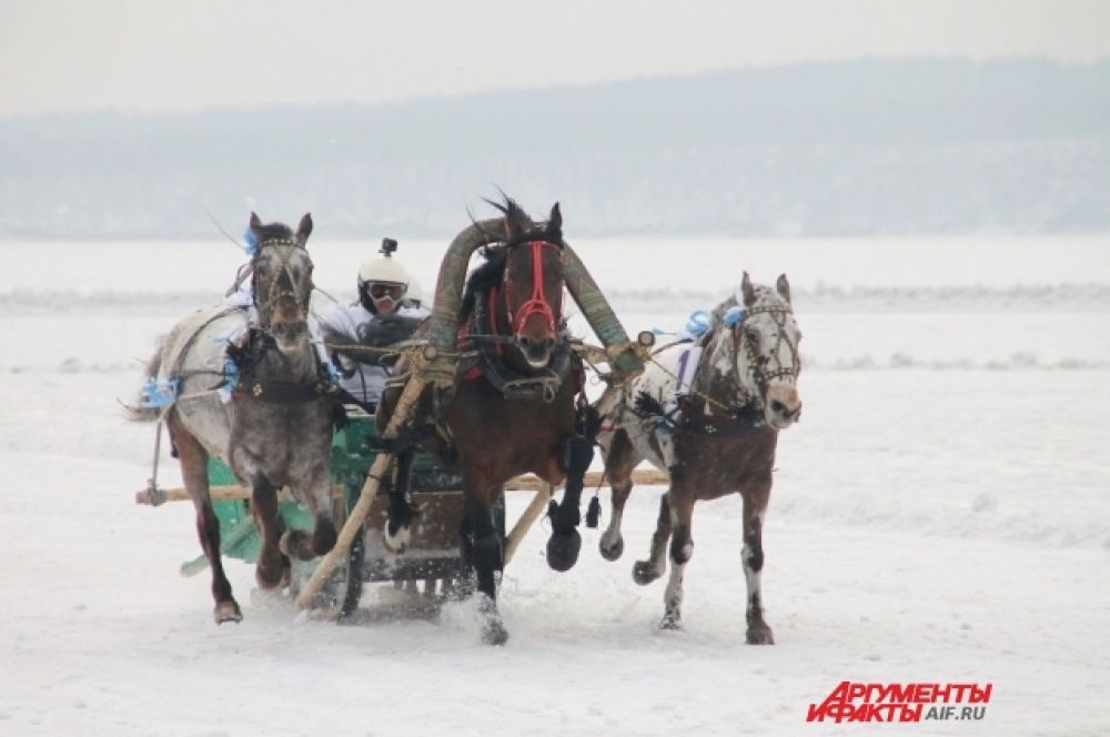 Конные забеги – это старинная иркутская традиция, которая восстанавливается благодаря этим состязаниям.