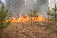 Тушить лесные пожары в Хабаровском крае будет амфибия Бе-200ЧС.