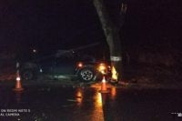 В Зеленоградском районе водитель получил травмы при столкновении с деревом