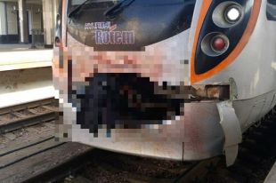 Под Киевом поезд Интерсити врезлася на полном ходу в лося