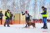 Первыми на старт вышли лыжники с собаками - эта дисциплина называется скиджоринг.