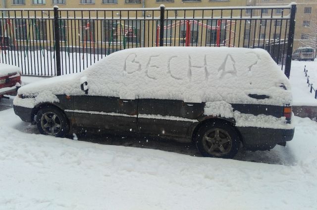 Снег и тепло ожидают жителей Хабаровска на этой неделе.
