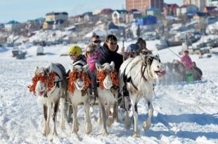 День оленевода в Салехарде пройдет в режиме on-line