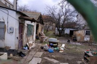 В Николаеве лишат родительских прав неадекватную мать, убивавшую животных