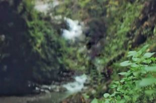 В Киеве зазвучит «Голос воды»: детали проекта с THE MANEKEN и ONUKA