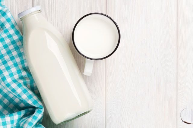 Какие заболевания могут передаться человеку с молоком и молочными продуктами