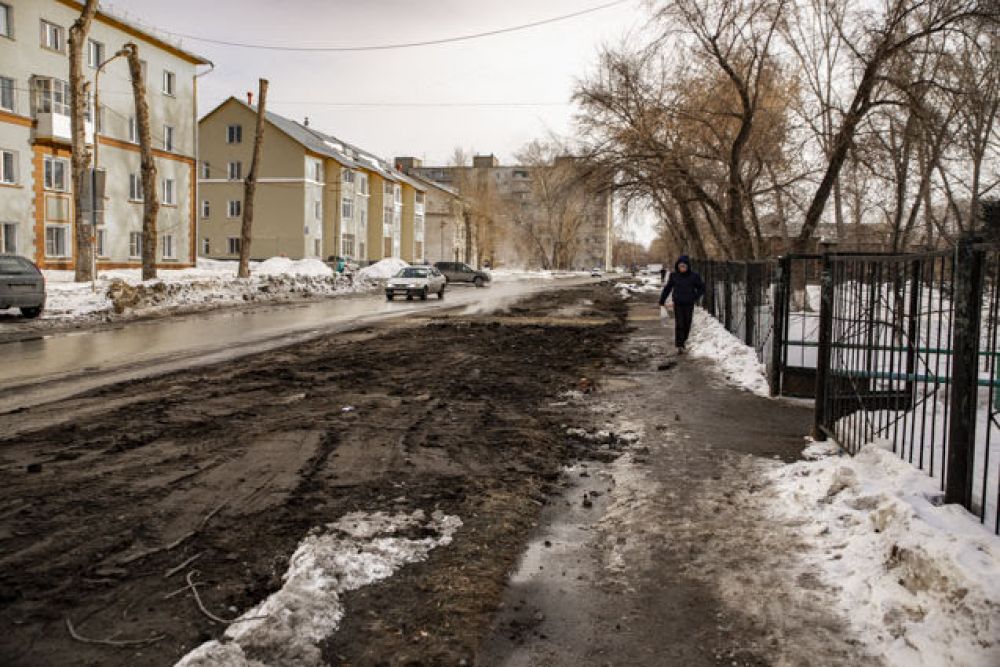 А кое-где в городе уже растаял снег и показалась земля.
