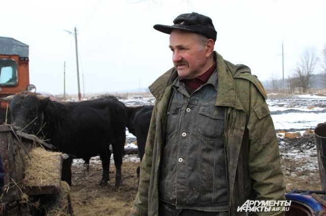 Александр Тимохин со своими коровами бродяжничает по Ростовской области уже восемь лет.