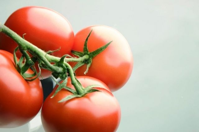 В Оренбуржье не пустили томаты с табачной белокрылкой из Туркменистана