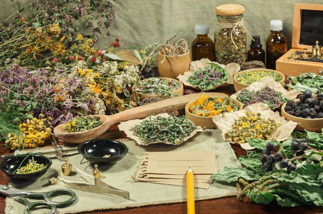 Есть в марте день особый 2023, Сараевский район - дата и место проведения, прогр