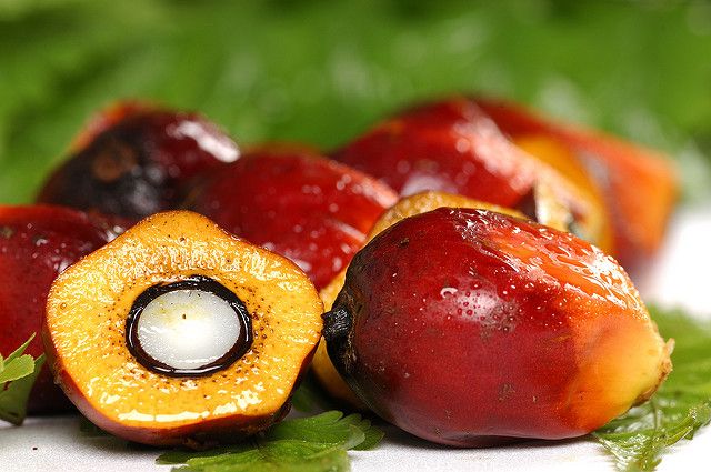 Эксперты Роскачества изучили биологические свойства пальмового масла