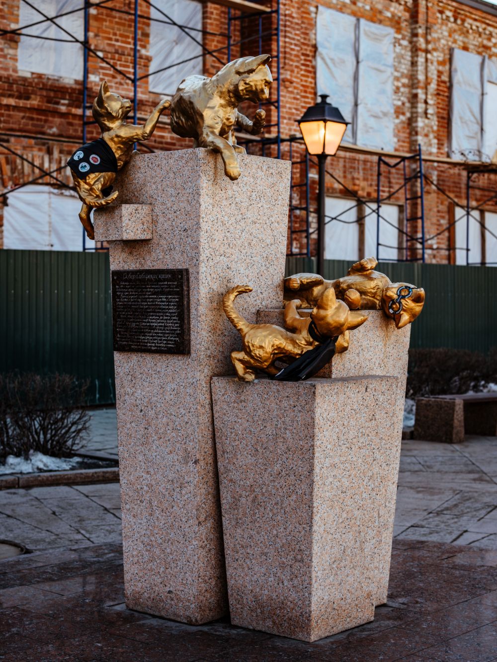 Сквер сибирских кошек, промоакция. Тюмень, 2019.