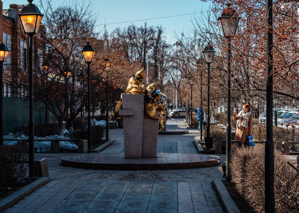 Сквер сибирских кошек, промоакция. Тюмень, 2019.