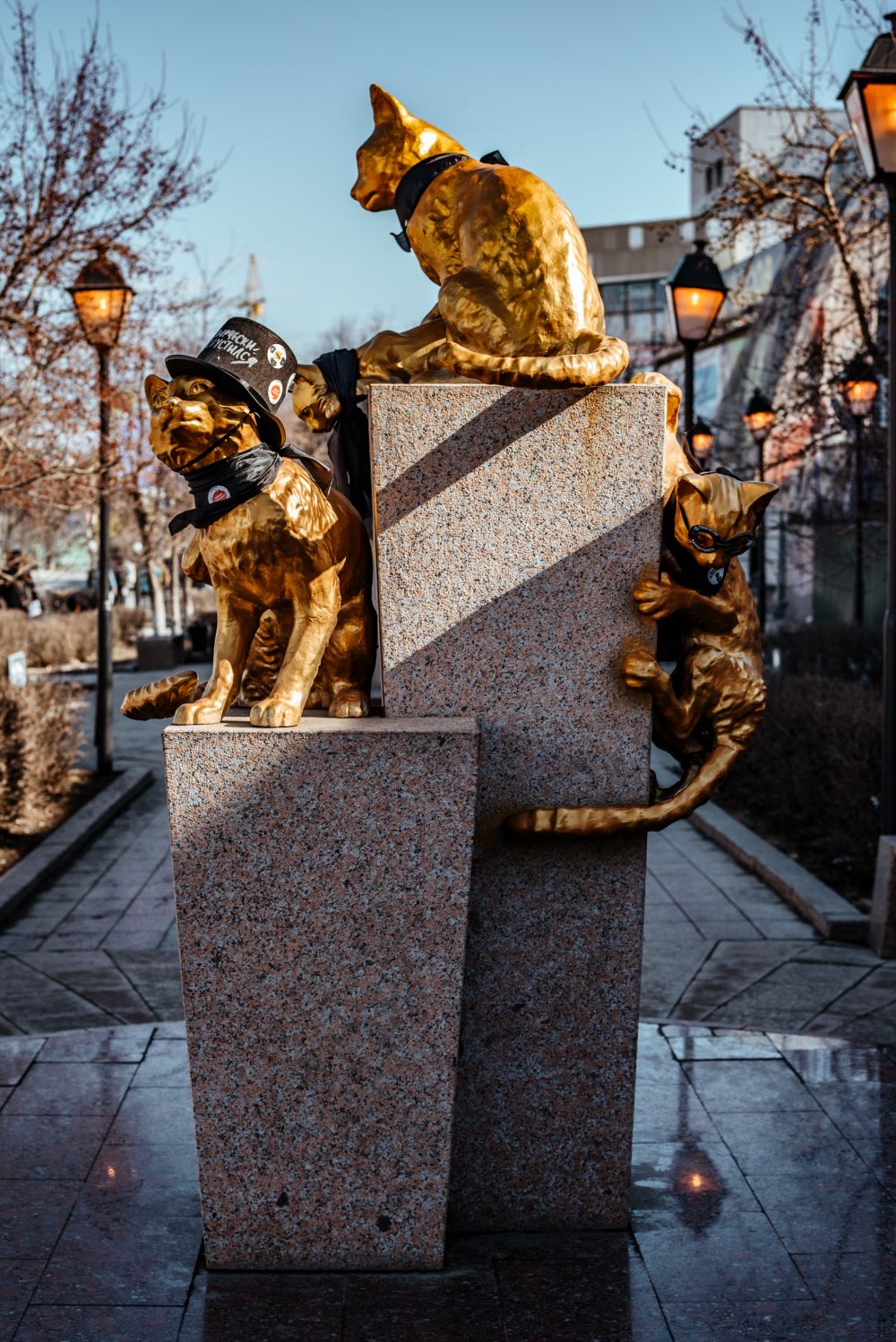 Сквер сибирских кошек, промоакция. Тюмень, 2019.