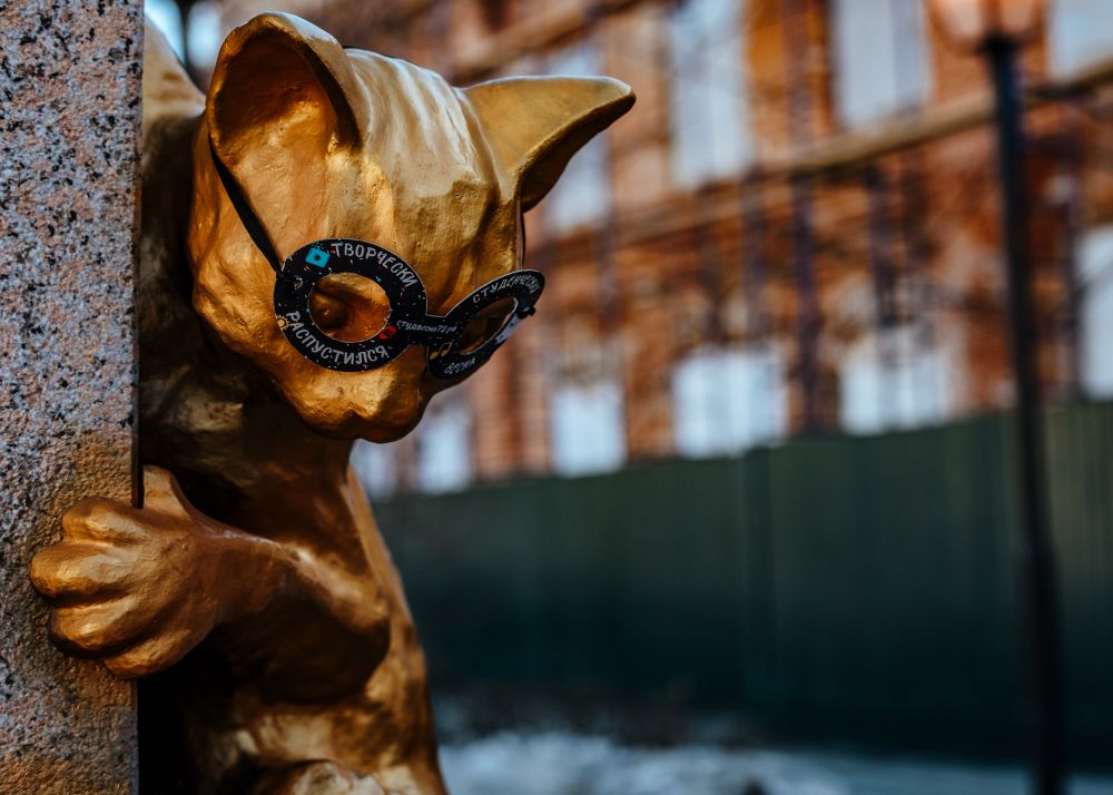 Сквер сибирских кошек, промоакция. Тюмень, 2019.