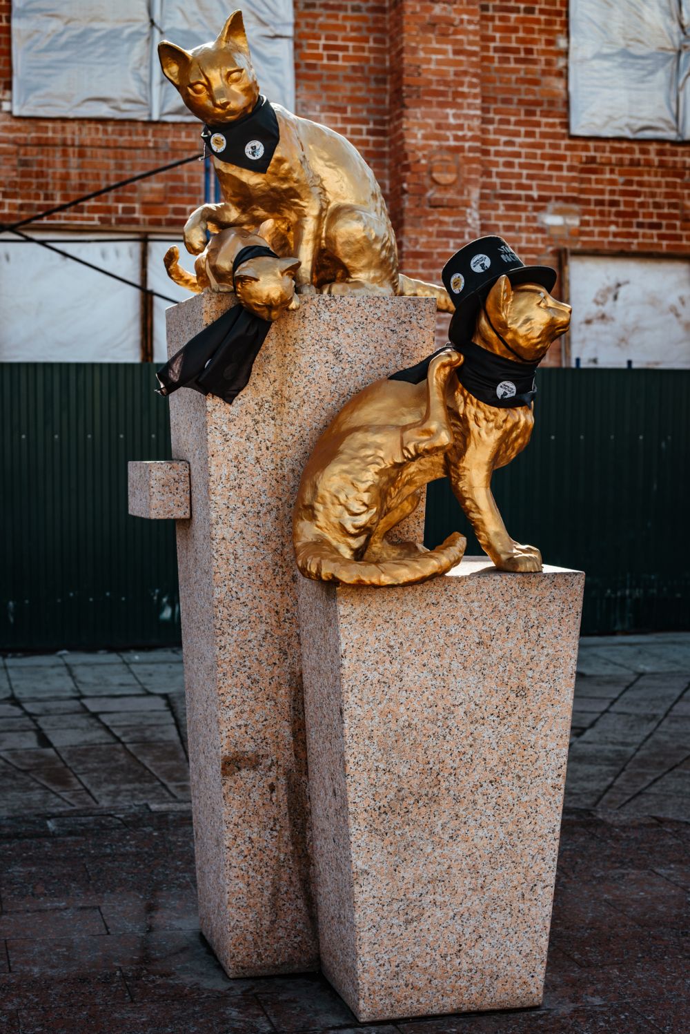 Сквер сибирских кошек, промоакция. Тюмень, 2019.