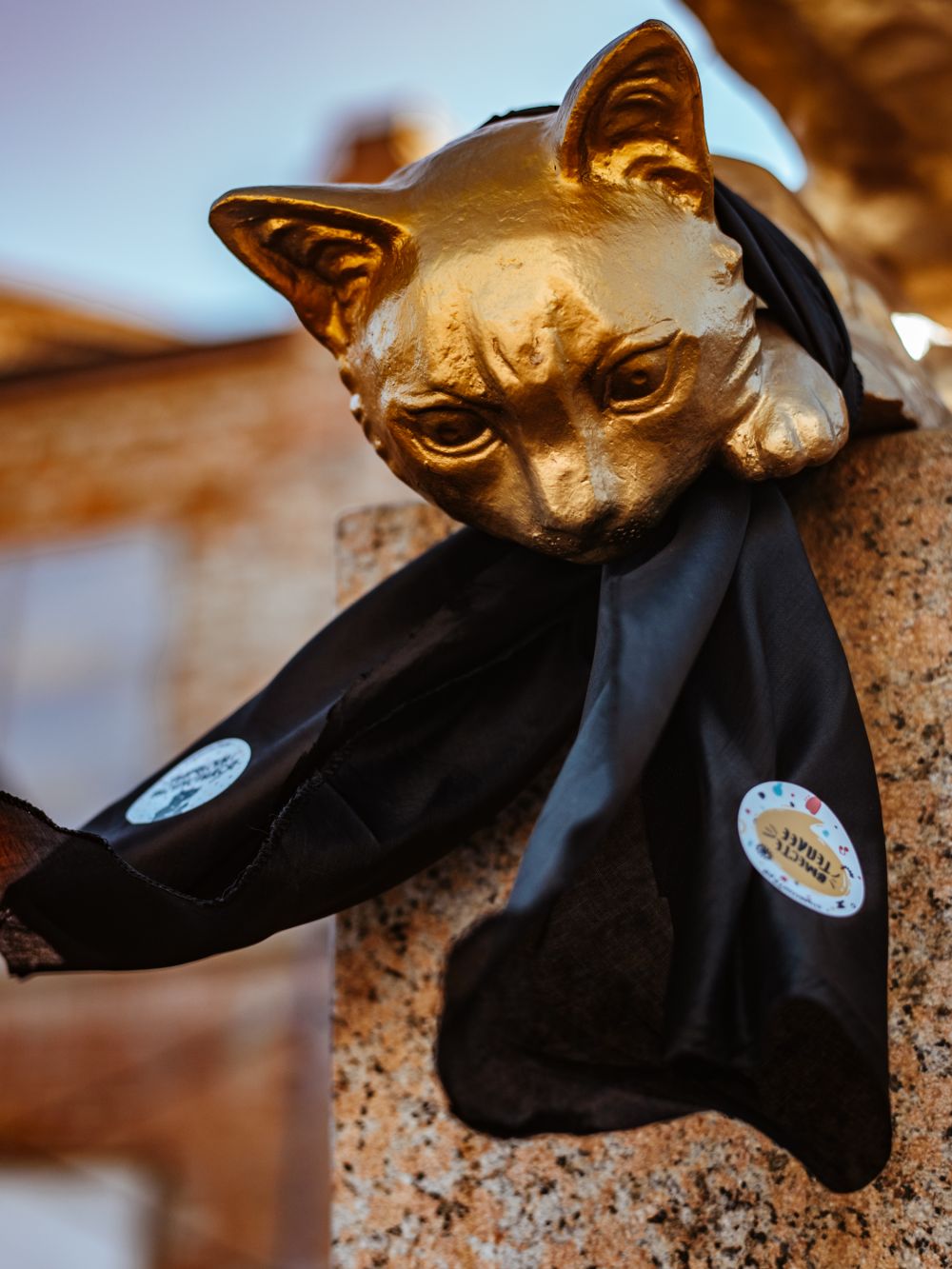 Сквер сибирских кошек, промоакция. Тюмень, 2019.
