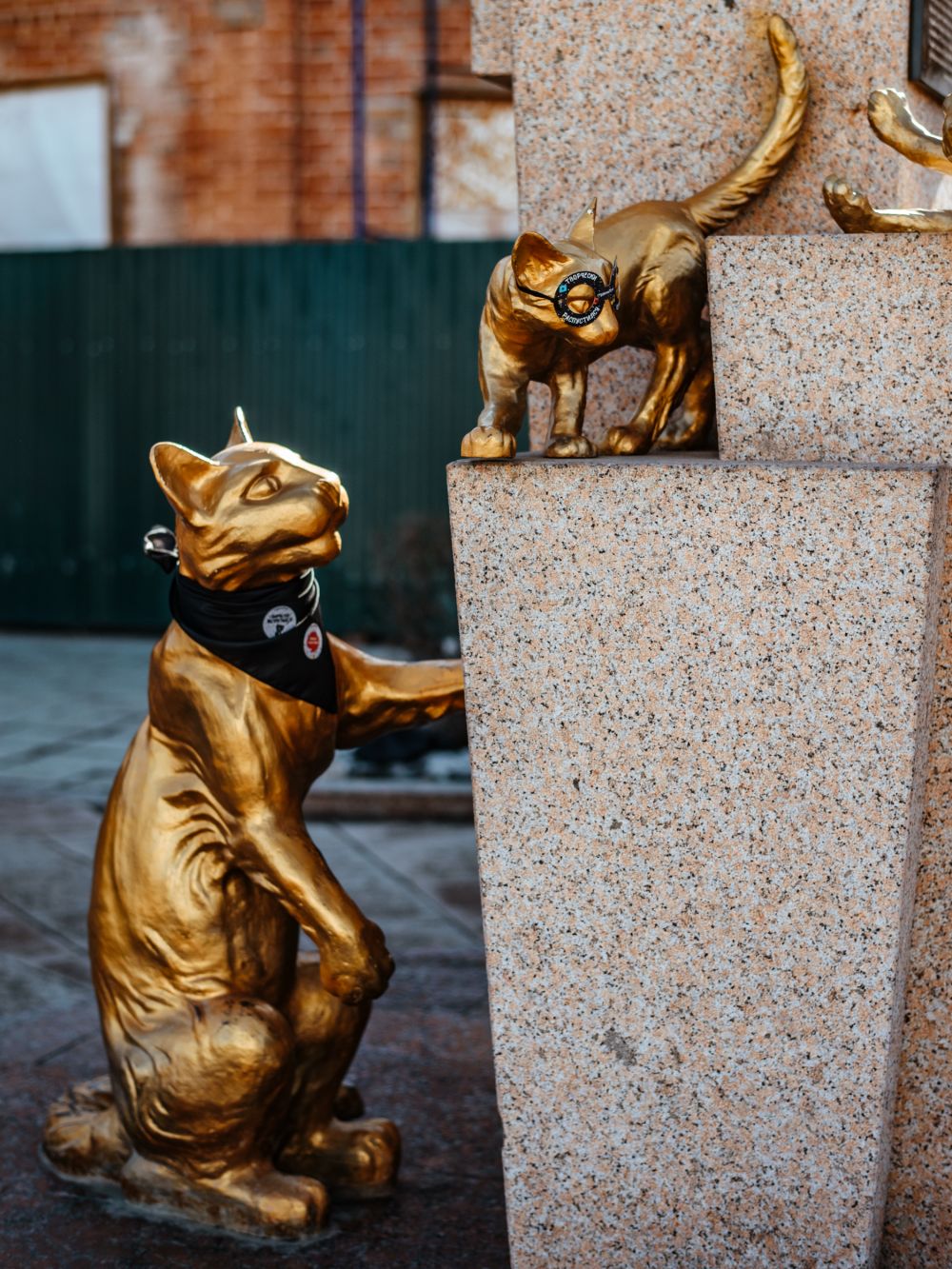 Сквер сибирских кошек, промоакция. Тюмень, 2019.