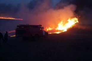 Под Черкассами из-за поджога сухой травы едва не сгорело село