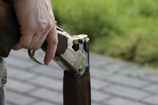 Тюменец застрелил собаку и угрожал убить ее заступницу