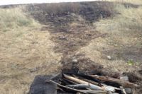В Оренбуржье за одни сутки сгорело 2,5 га степи