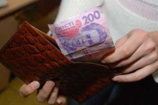 Кибермошенники похитили у украинских селян почти 5 млн грн
