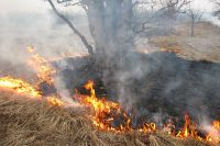 Остановив полосу огня, пожарные еще час тушили неконтролируемый пал травы на открытой территории.