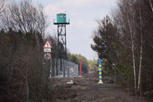Украина и Беларусь совместно проводят демаркацию в зоне Чернобыльской АЭС