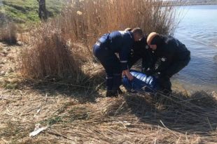 Запрос в Google «как избавиться от трупа» помог раскрыть зверское убийство сыном матери