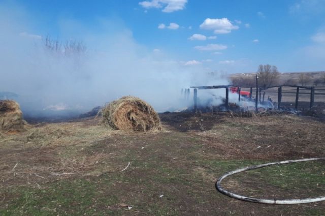 В Бугурусланском районе огонь  при сжигании травы перекинулся на постройки