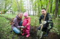 Каждая московская семья может высадить дерево в честь новорождённого сына или дочери.