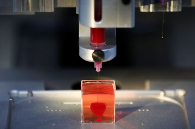 ​Израильские учёные впервые в мире напечатали на 3D-принтере сердце.