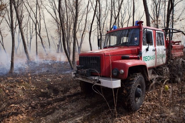 В Тюменской области ввели  пожароопасный сезон