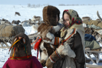 Ямальцы выбирают лучшие видеоролики, записанные на языках коренных северян